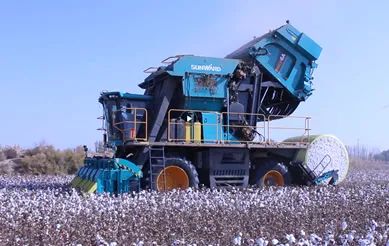 科技赋能农业强国建设！宝运莱智能这个人工智能项目入选《湖南省“数字新基建”100个标志性项目名单》